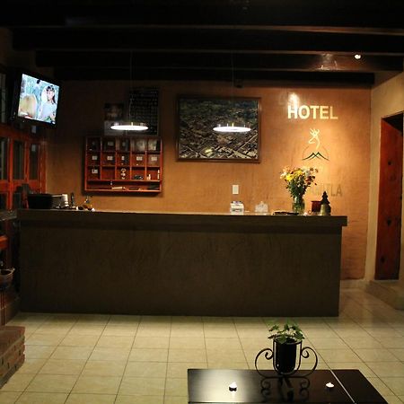 Hotel Plaza มาซามิตลา ภายนอก รูปภาพ